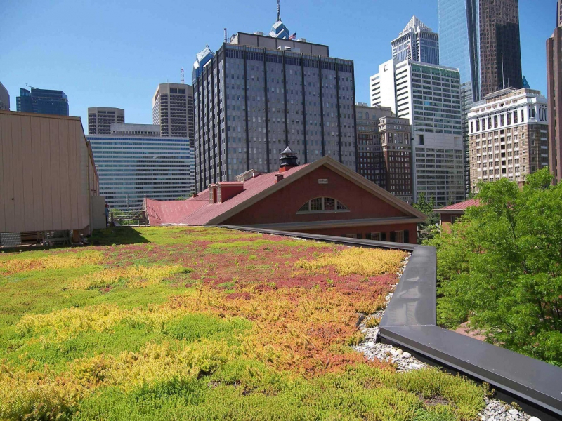 paysagiste-LES SALLES SUR VERDON-min_green-roof-portfolio-4